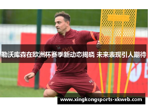 勒沃库森在欧洲杯赛季新动态揭晓 未来表现引人期待