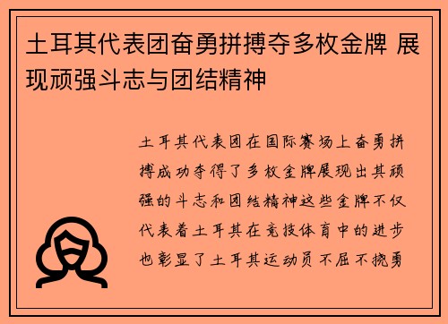 土耳其代表团奋勇拼搏夺多枚金牌 展现顽强斗志与团结精神