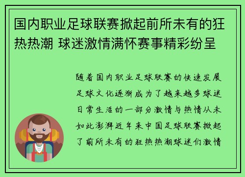 国内职业足球联赛掀起前所未有的狂热热潮 球迷激情满怀赛事精彩纷呈